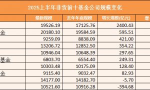 2025年上半年头部基金公司规模考：华夏以14%增速领跑 博时缩水近400亿垫底